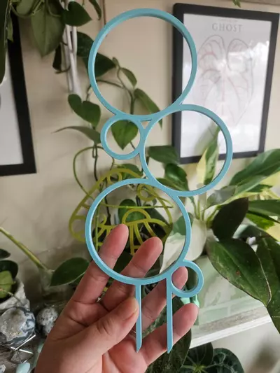 plant/Baby blue bubble trellis 8"-0-thumbnail