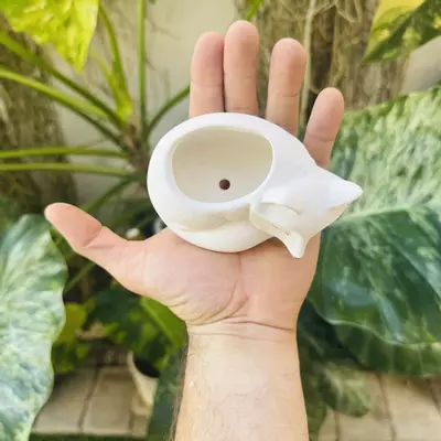 plant/Small sleeping fox 2” opening-1-thumbnail