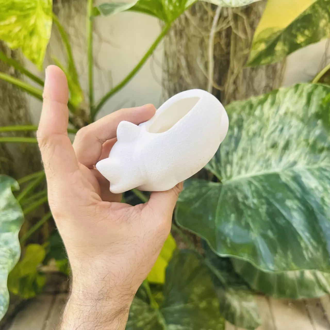 plant/Small sleeping fox 2” opening-3