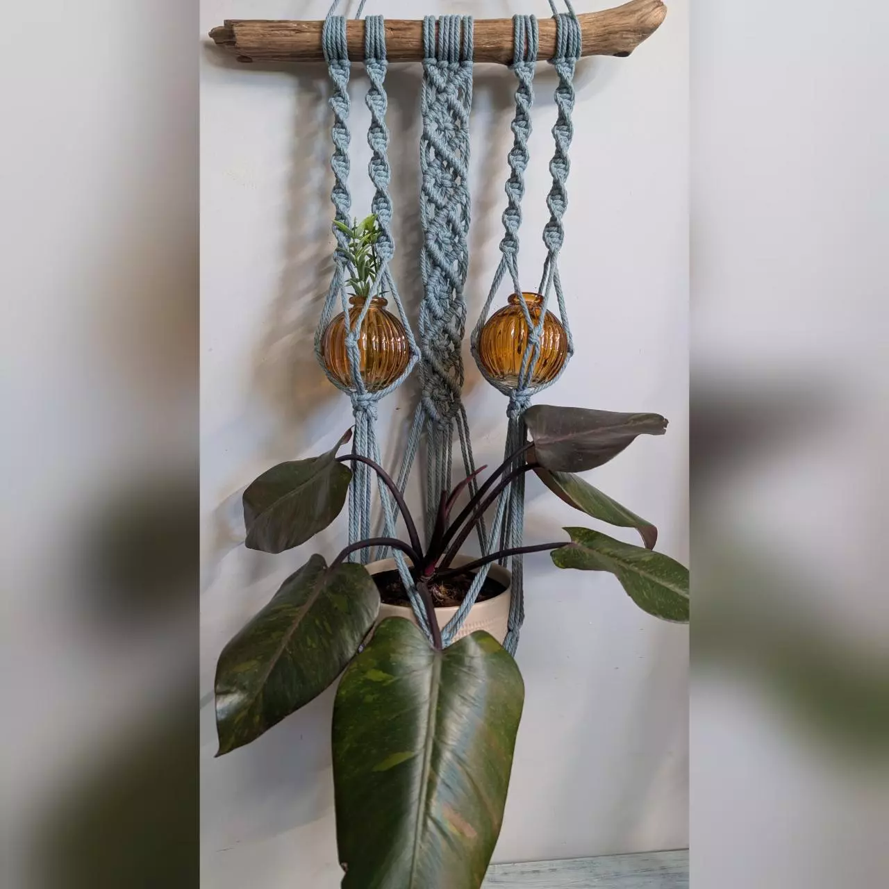 plant/#447 3-holder plant hanger, eucalyptus-0