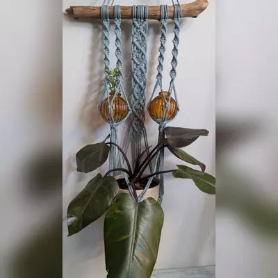 plant/#447 3-holder plant hanger, eucalyptus-0-thumbnail