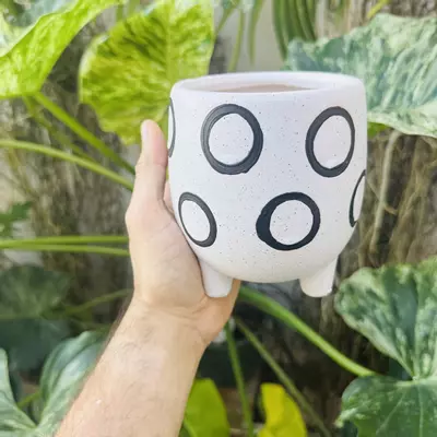 plant/Large dot2 design pot 4” opening-0-thumbnail