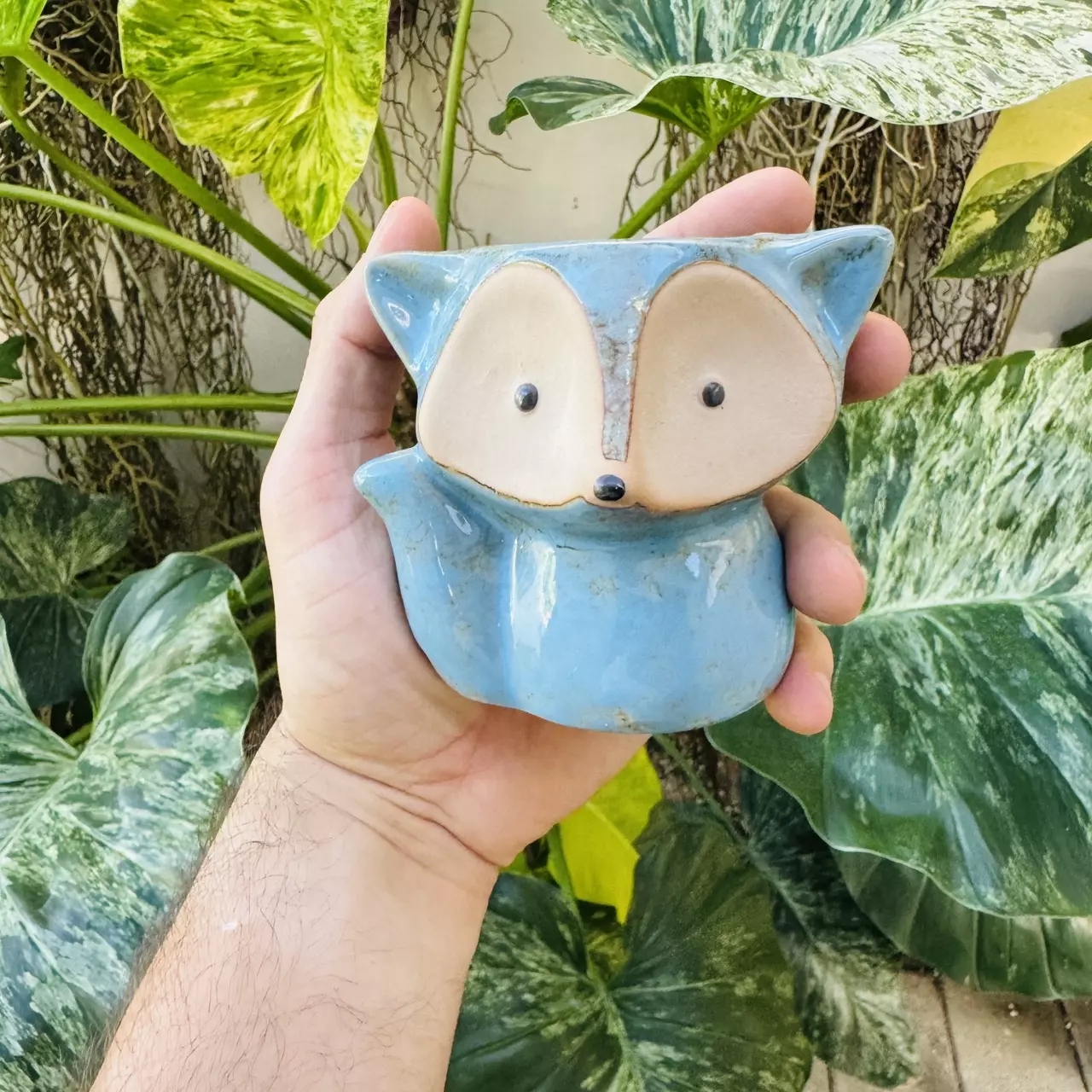 plant/D1 Blue Fox pot 2” opening-0