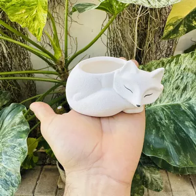 plant/Small sleeping fox 2” opening-0-thumbnail