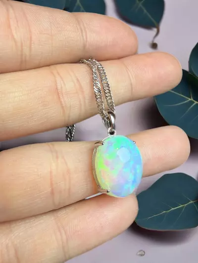 plant/Stephie Purge 1/1-2-thumbnail