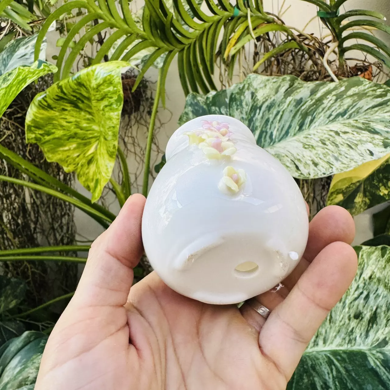 plant/Pearl pot D3 2” opening-1