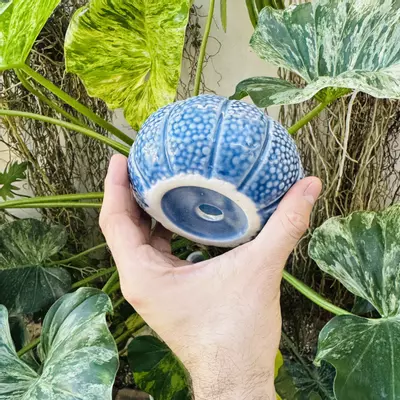 plant/Pebble blue pot 3” opening-1-thumbnail