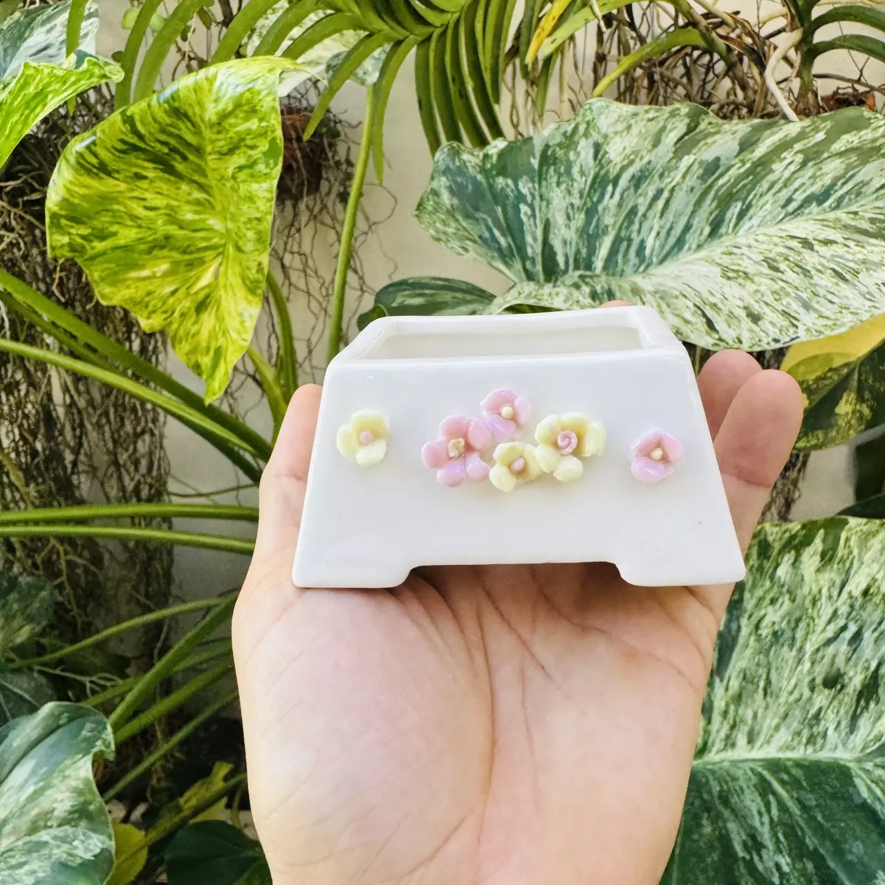 plant/Pearl pot D5 3” opening-0