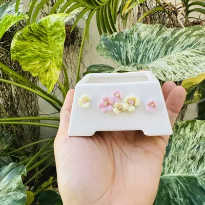 plant/Pearl pot D5 3” opening-0-thumbnail