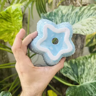 plant/Sea star blue pot 4” opening-3-thumbnail