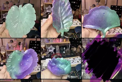 plant/Stephie Purge 1/1-3-thumbnail