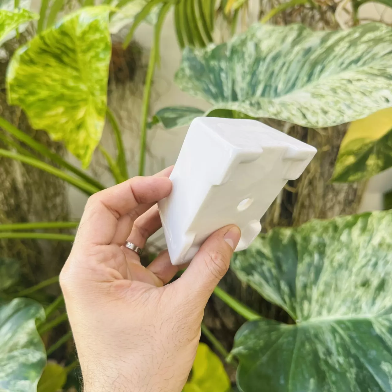 plant/Pearl pot D5 3” opening-2