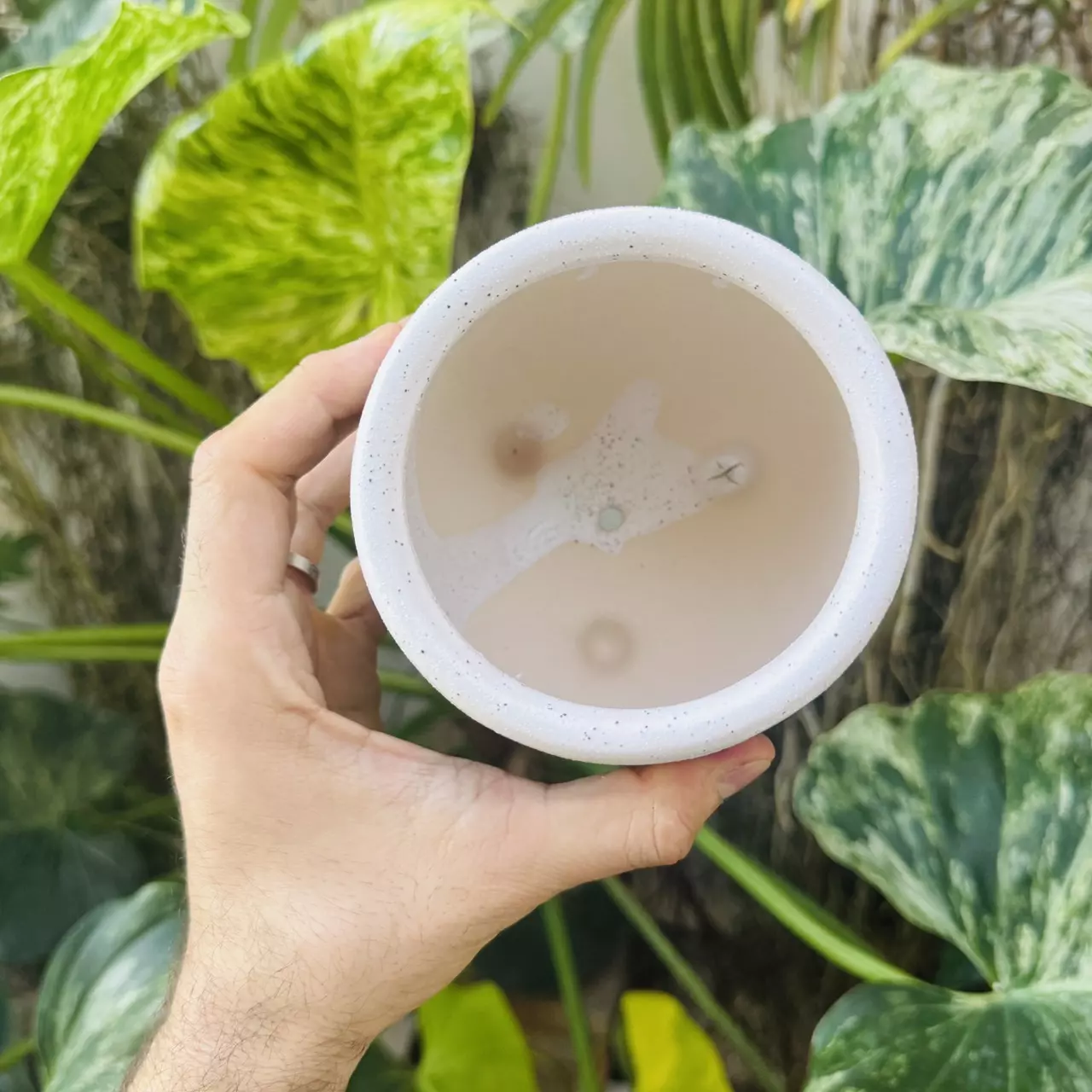 plant/Large dot2 design pot 4” opening-1