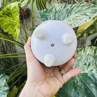 plant/Large dot design pot 4” opening-3-thumbnail