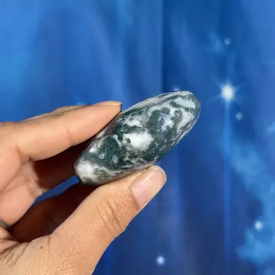 plant/Moss agate palm - 18ae-3-thumbnail