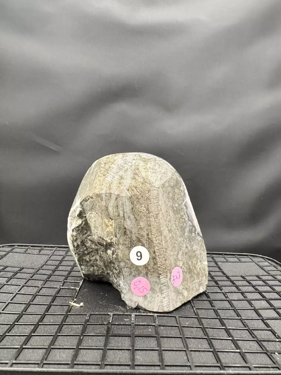 plant/#9 Amethyst Geode-1