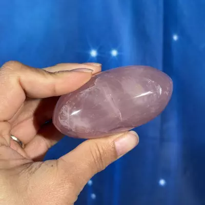 plant/Rose Quartz Palm - 28u-2-thumbnail