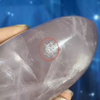 plant/Rose Quartz Palm - 28u-5-thumbnail