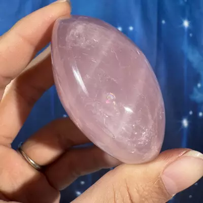 plant/Rose Quartz Palm - 28g-4-thumbnail