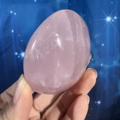 plant/Rose Quartz Palm - 26f-3-thumbnail