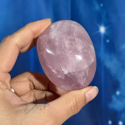 plant/Rose Quartz Palm - 28g-1-thumbnail