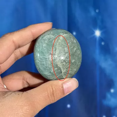 plant/Amazonite Palm - 12q-1-thumbnail