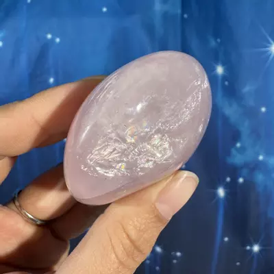 plant/Rose Quartz Palm - 22an-3-thumbnail