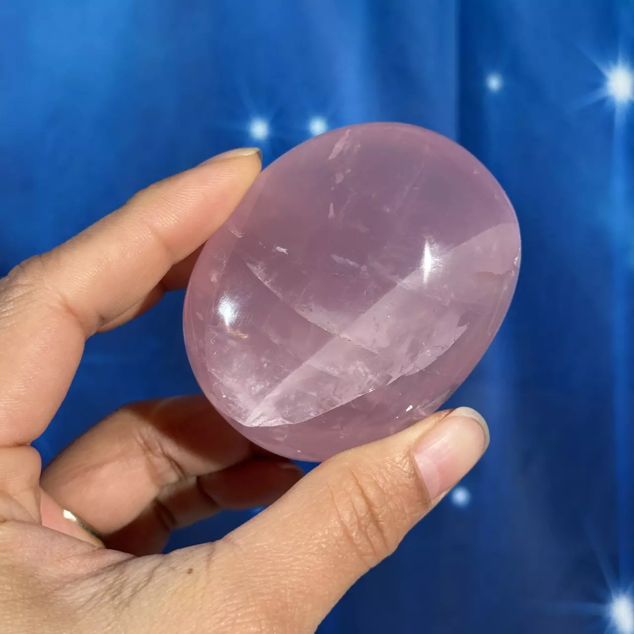 plant/Rose Quartz Palm - 24e-1