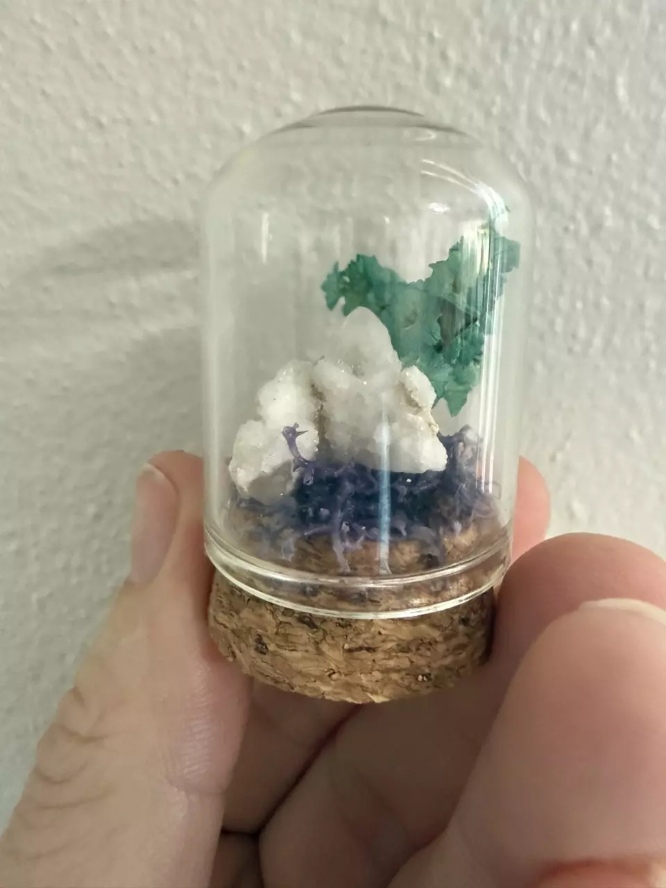 plant/Mini Cloche - cactus quartz 1-0