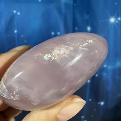 plant/Rose Quartz Palm - 24e-3-thumbnail