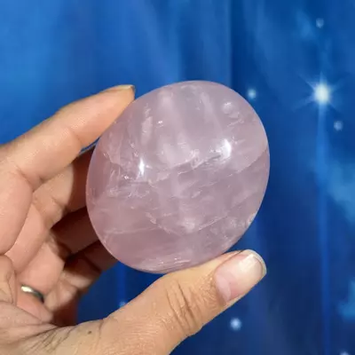 plant/Rose Quartz Palm - 22an-1-thumbnail
