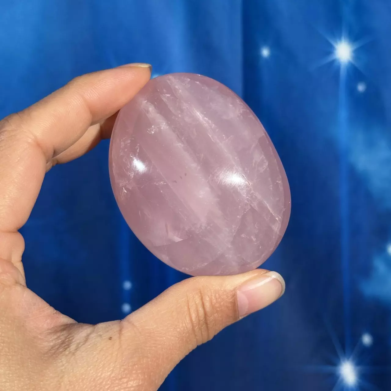 plant/Rose Quartz Palm - 26f-0