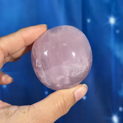 plant/Rose Quartz Palm - 28f-1-thumbnail