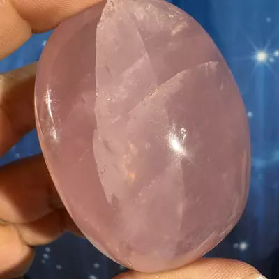 plant/Rose Quartz Palm - 24e-5-thumbnail