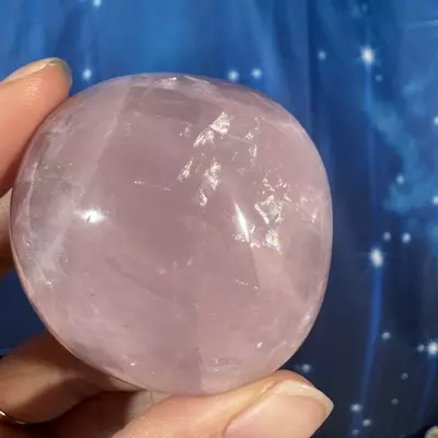 plant/Rose Quartz Palm - 28f-4-thumbnail