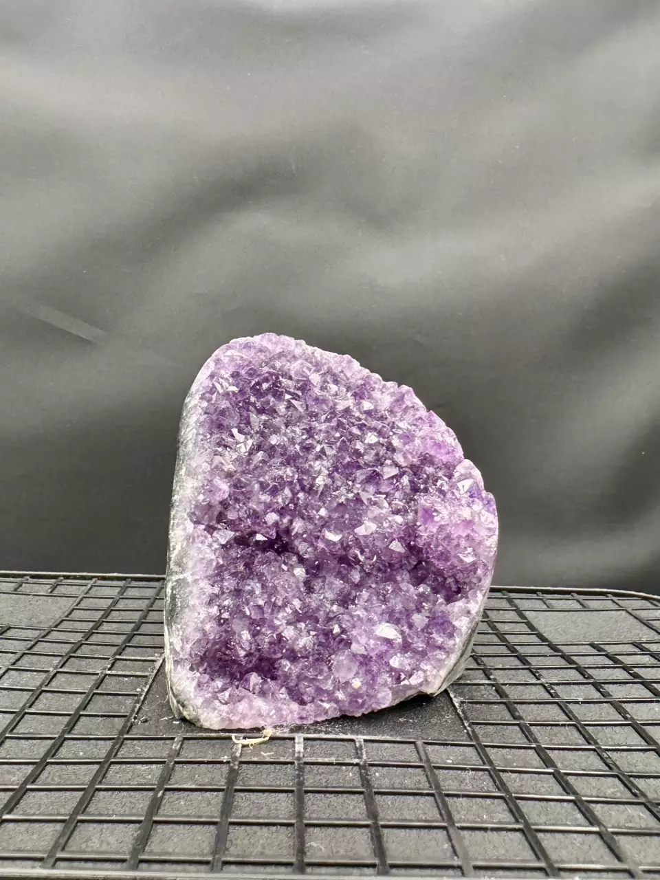 plant/#10 Amethyst Geode-0
