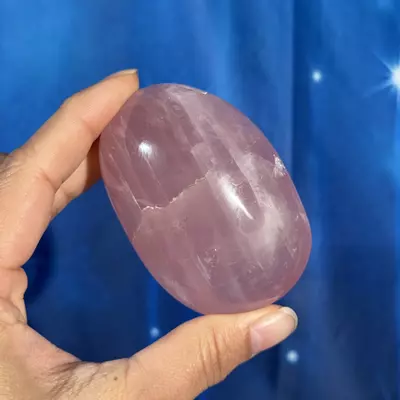 plant/Rose Quartz Palm - 28u-0-thumbnail