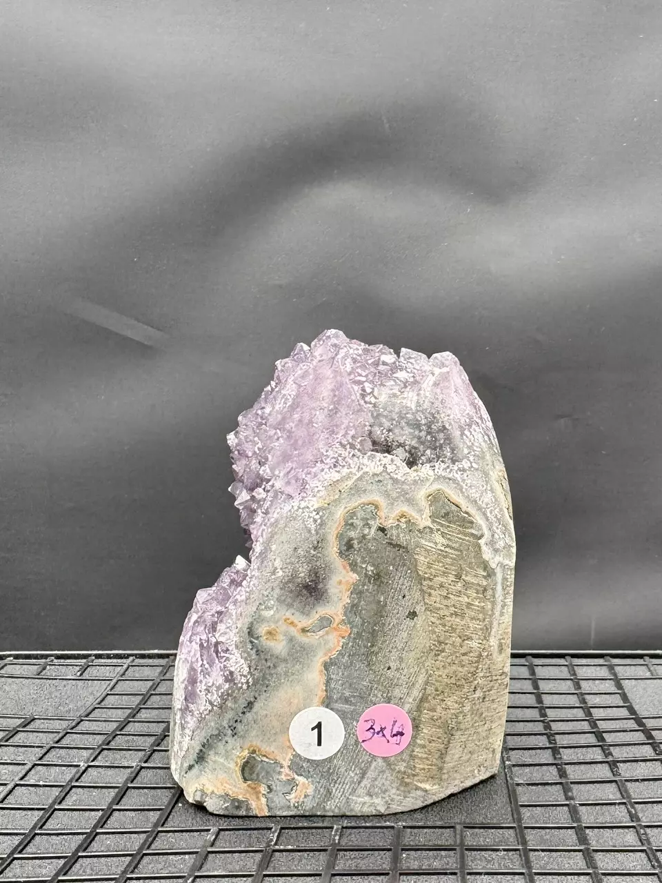 plant/#1 Amethyst Geode-1