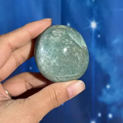 plant/Amazonite Palm - 12q-0-thumbnail