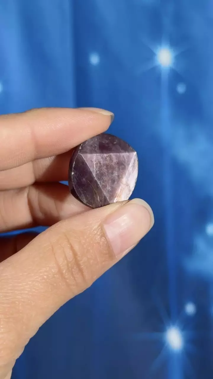 plant/Gem Lepidolite coin - 14j-2