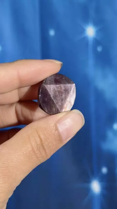 plant/Gem Lepidolite coin - 14j-2-thumbnail