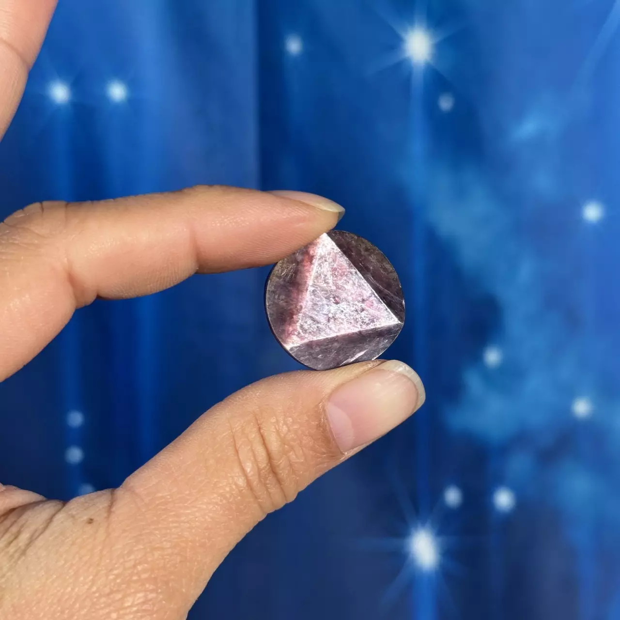 plant/Gem Lepidolite coin - 14j-0