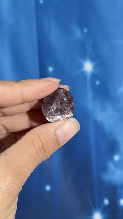 plant/Gem Lepidolite coin - 14y-2-thumbnail