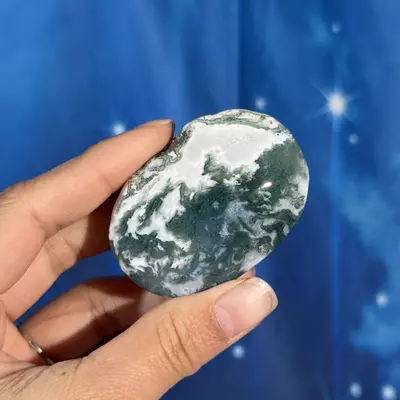 plant/Moss agate palm - 18ae-1-thumbnail