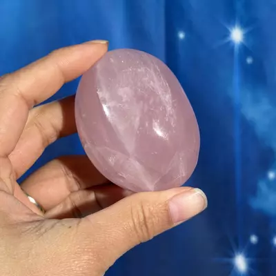 plant/Rose Quartz Palm - 26f-1-thumbnail