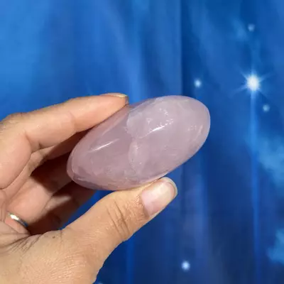 plant/Rose Quartz Palm - 22an-2-thumbnail