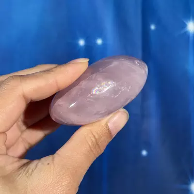 plant/Rose Quartz Palm - 24e-2-thumbnail