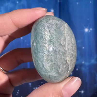 plant/Amazonite Palm - 12q-3-thumbnail