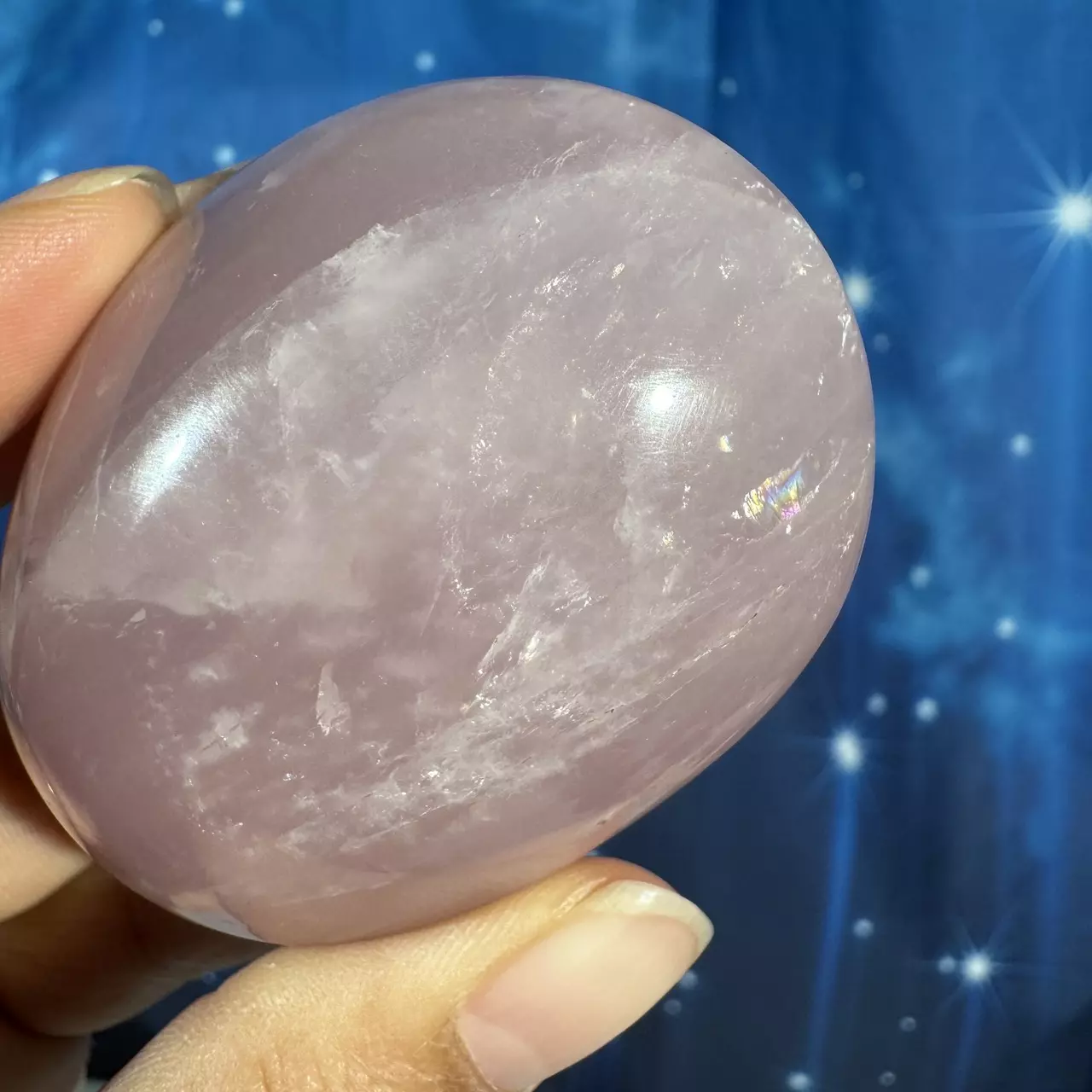 plant/Rose Quartz Palm - 26f-5