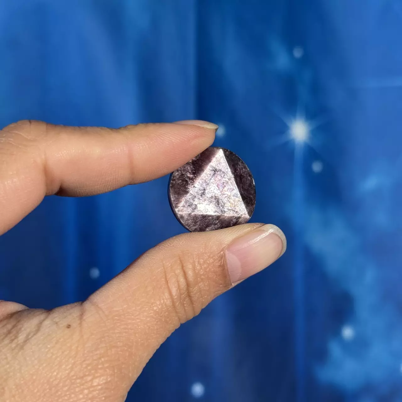 plant/Gem Lepidolite coin - 14y-1